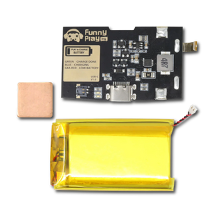 FunnyPlaying USB-C Battery